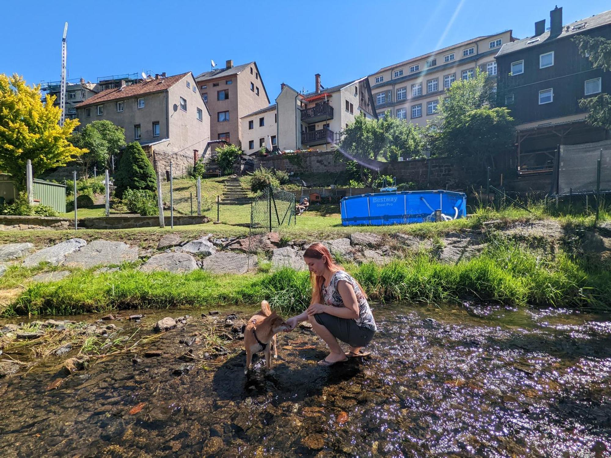 F3 Urlaubsmagie - Pool, Garten & Terrasse - 4P Sebnitz Exteriör bild