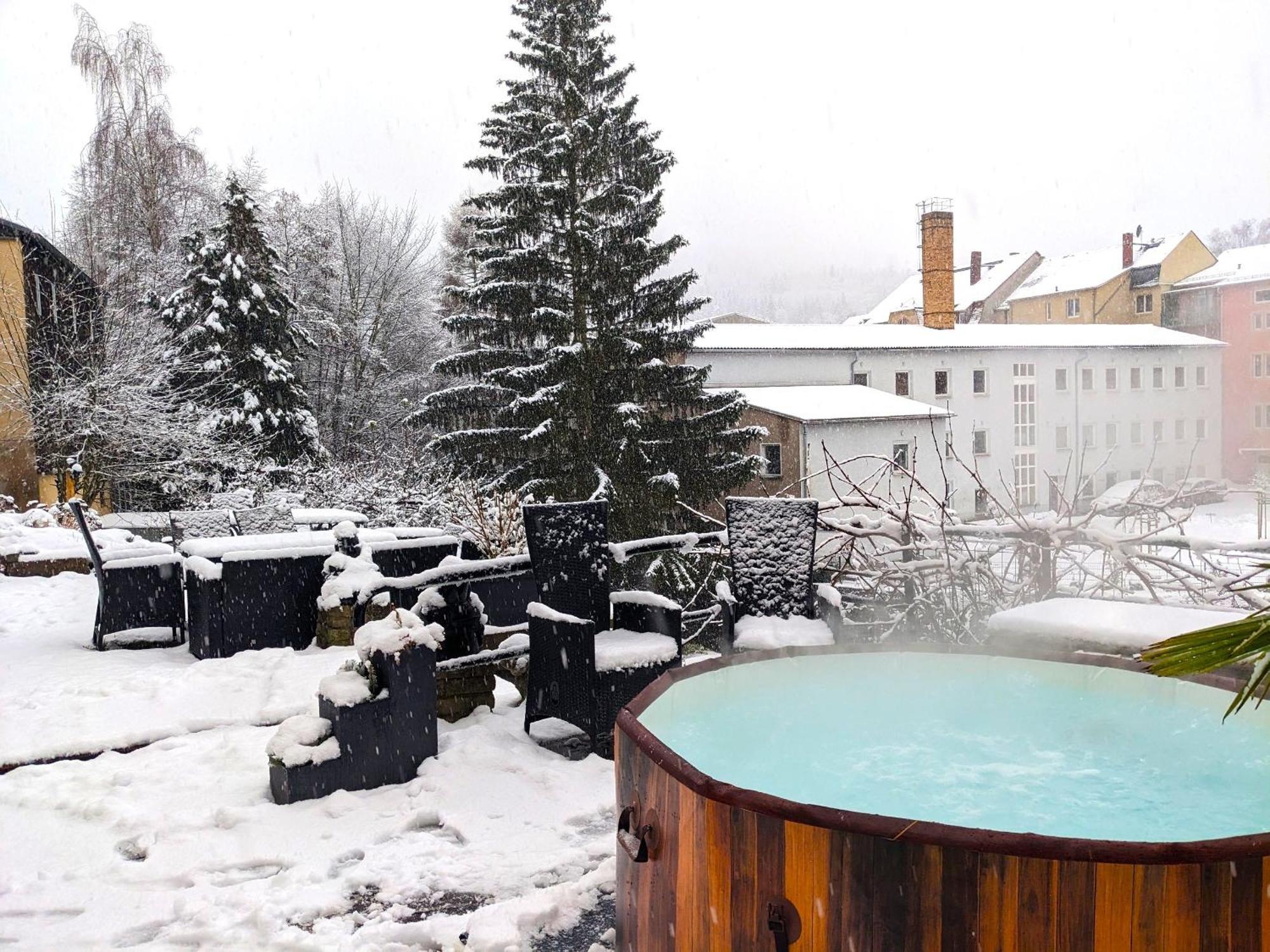 F3 Urlaubsmagie - Pool, Garten & Terrasse - 4P Sebnitz Exteriör bild