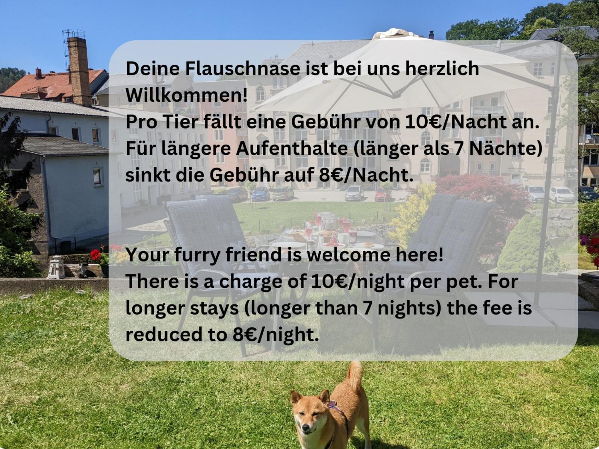 F3 Urlaubsmagie - Pool, Garten & Terrasse - 4P Sebnitz Exteriör bild